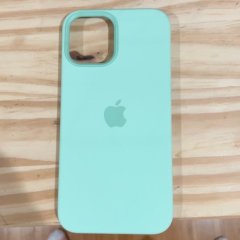 iPhone 12 Pro Max Apple Silicone Pistachio case